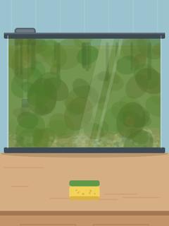 Fish tank level